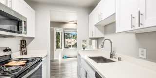 Forest Hill Village Gallery 11