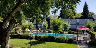 Forest Park Gallery 1