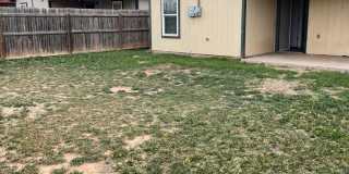 3 Bd / 2 Bath and great back yard Gallery 19