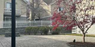 New Haven Village Suites Gallery 8