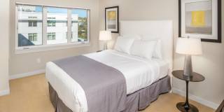 The Lyric Gallery 19