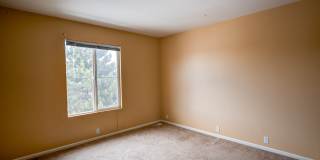 6065 Ensemble Heights - 6065 6065 Ensemble Heights - 6065 Gallery 14