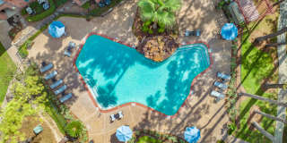 Greenwood Forest Gallery 13