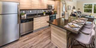 The Nolen Luxury Apartments The Nolen Luxury Apartments Gallery 3