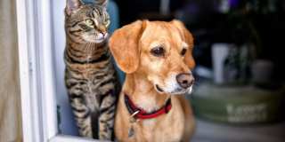 Dover Pointe Gallery 3