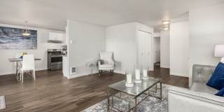 Desie Gallery 41
