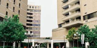 Hampton Plaza Gallery 2