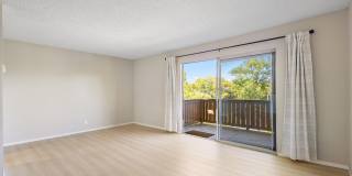 1327 Webster St #B305 - Studio | 1 bath | Condo Gallery 7