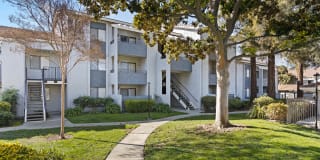 Verde Verde Gallery 4