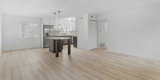 The Cadence Gallery 26