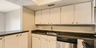 Rise Spring Pointe Gallery 90