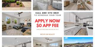 Luxury Kitchen + 3 Bed & Den/Office in Azure Canyon | Quartz, Gas Cooktop & More Gallery 1
