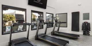 Cortland Scottsdale Mountain Gallery 13