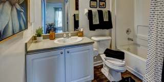 Peninsular Place Apartments - Student Housing Gallery 18