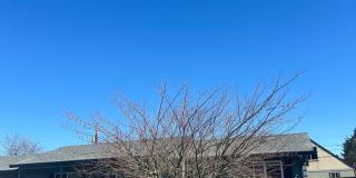 3 BD Ranch Style Home with Garage & Large Lot Gallery 1