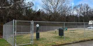 Spring Lake Cove Gallery 30