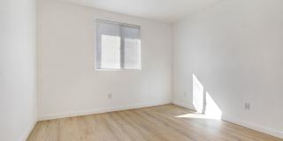 2439 Malabar Street Gallery 29