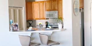 Stunning 2-Bed, 2-Bath Condo in Salisbury Gallery 30