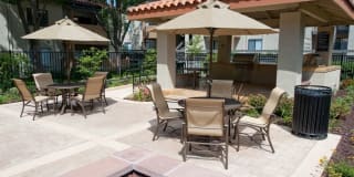 Avalon Mountain View Gallery 22