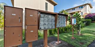 98-1394 Nola Street Gallery 24