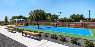 The Palmer Gallery 29