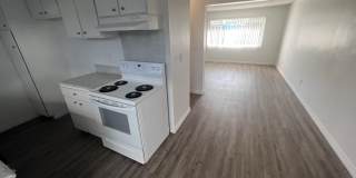 Palmwood Gardens Gallery 13