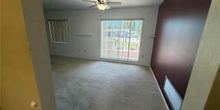 339 PINE TREE ROAD Gallery 5