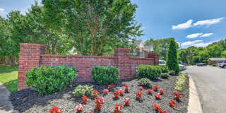 Saddlebrook Apartments Gallery 28