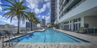 Alluvion Las Olas Alluvion Las Olas Gallery 40