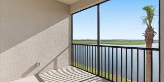 19140 SCALLOP LOOP Gallery 1