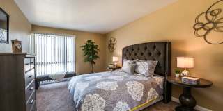 Meadows at Capitol Heights Gallery 21