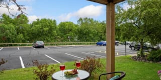 SpringBrook Gallery 18