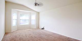 7326 Tamburo Gallery 20