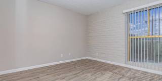 Bellevue Towers Gallery 109