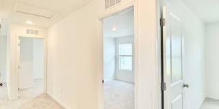 641 Bald Cypress Drive Gallery 28