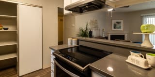 The Verge Gallery 14