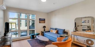 Heartwood Gallery 20