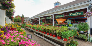 Windsor Village at Waltham Gallery 5