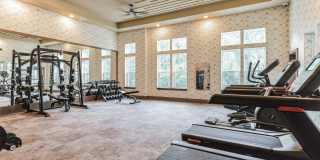 Mountain Creek Gallery 41