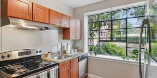 Cameron Court & Shelton Gallery 10