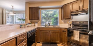 The Seasons Gallery 4