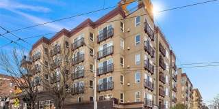 Spacious Capitol Hill Bedroom w/ Private Patio - Two Parking Spaces Included! $3800 AVAILABLE NOW! Gallery 1