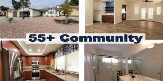 2624 Beech Tree Gallery 1