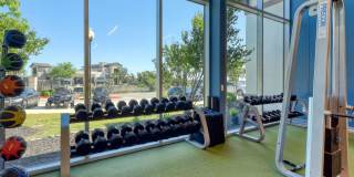 The View at TPC Gallery 20