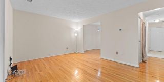 11417 HONEYSUCKLE CT #3-2 Gallery 8
