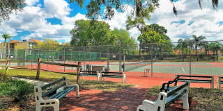 712 WHITE PINE TREE ROAD Gallery 51