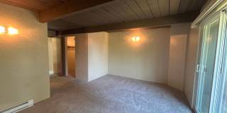 3494on Gallery 19