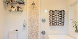 1769 Ivy Road Gallery 16