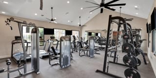 The Sophia Gallery 10