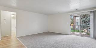 Country Woods Gallery 21